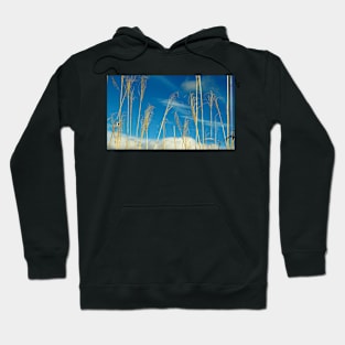 Wheat In The Sky Hoodie